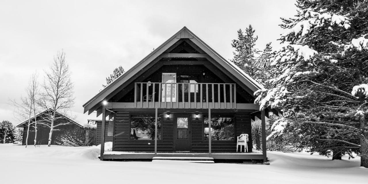 Yellowstone Cozy Caldera Cabin Айленд-Парк Экстерьер фото